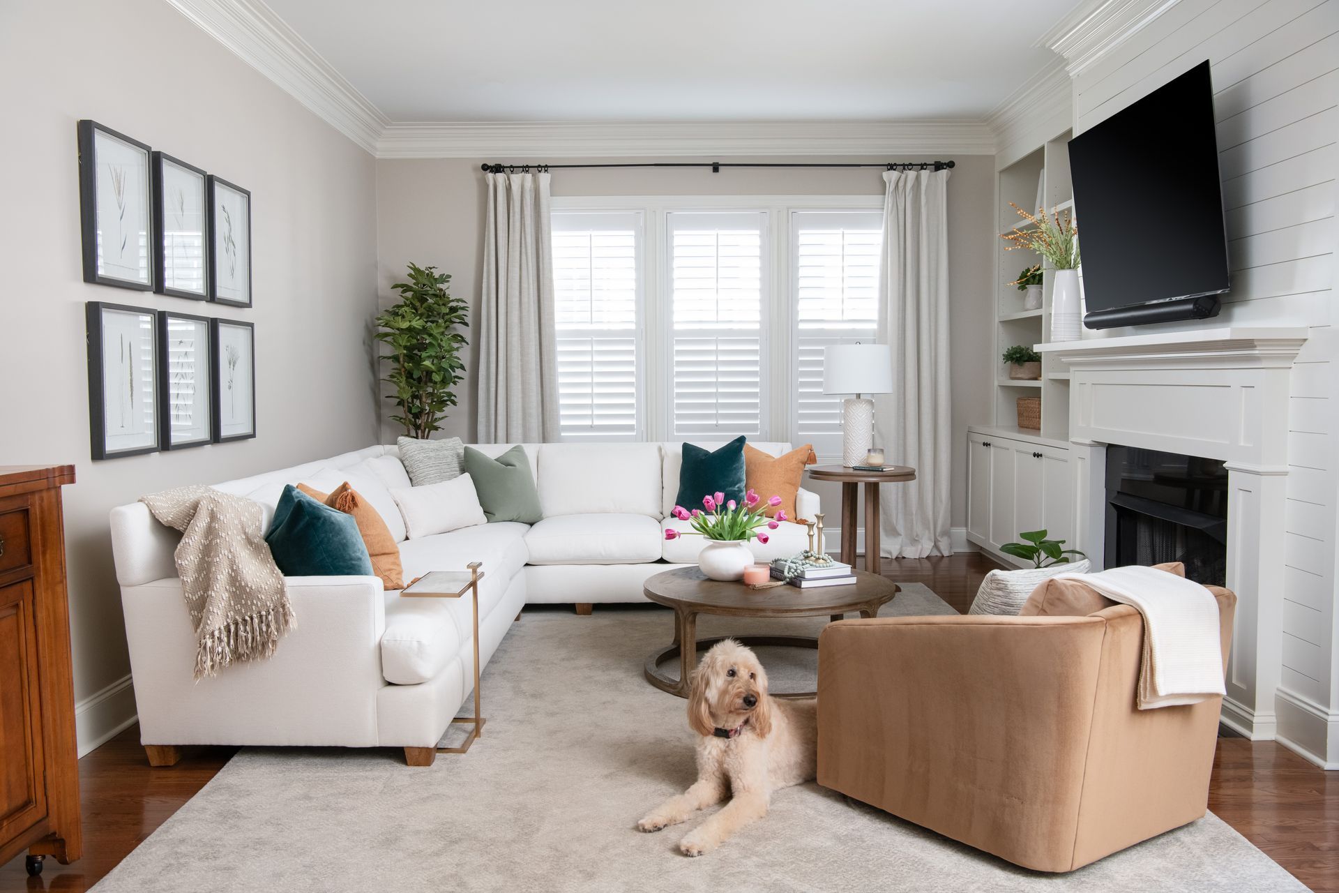 Which Designer Service is Right for You?