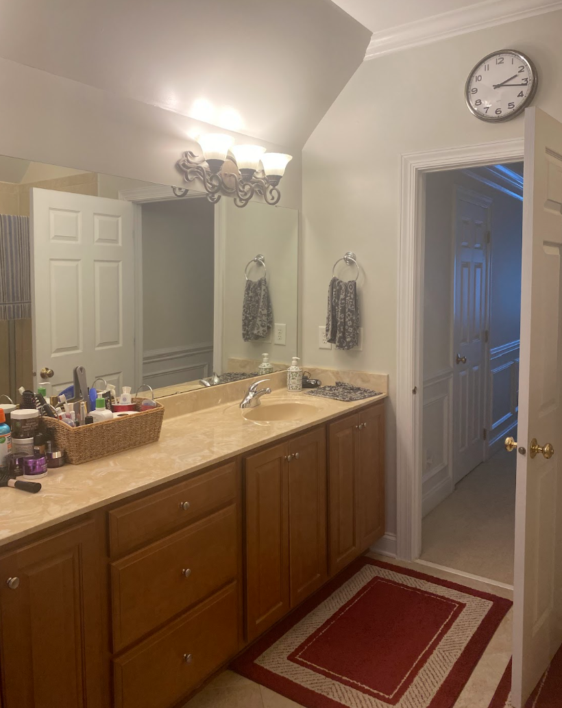 Project Pristine Luxe: Bathroom Reveal