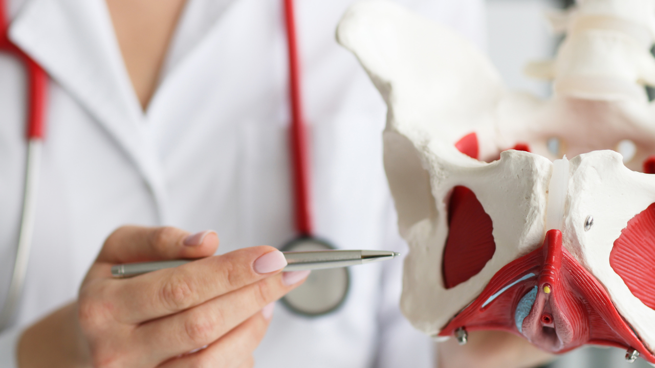 What is Bone Densitonomy?