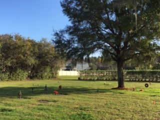 Orlando Memorial Gardens Outside Burial Plots with Tree