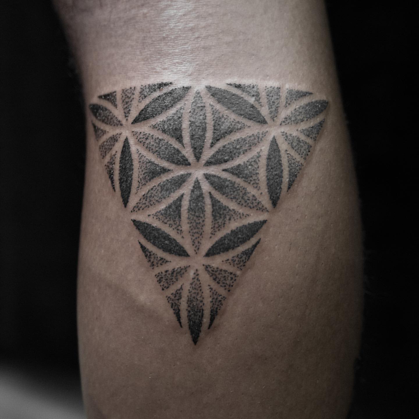 Geometric Dotwork Tattoo by Lex at Black Gold Tattoo Co in Edmonton Alberta Canada