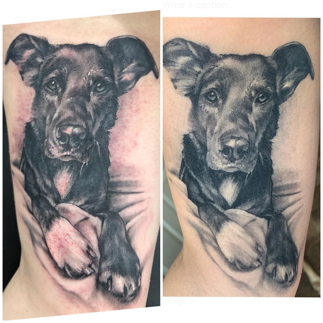 Dog Portrait Tattoo by Sarah Michelle at Black Gold Tattoo Co in Edmonton Alberta Canada