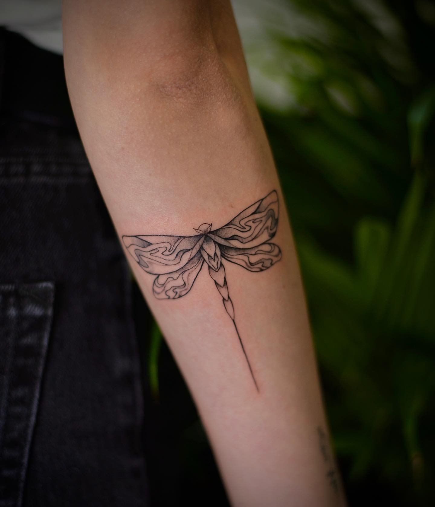 Dragonfly Tattoo by Anastasiya at Silver Ghost Tattoo in Edmonton Alberta Canada