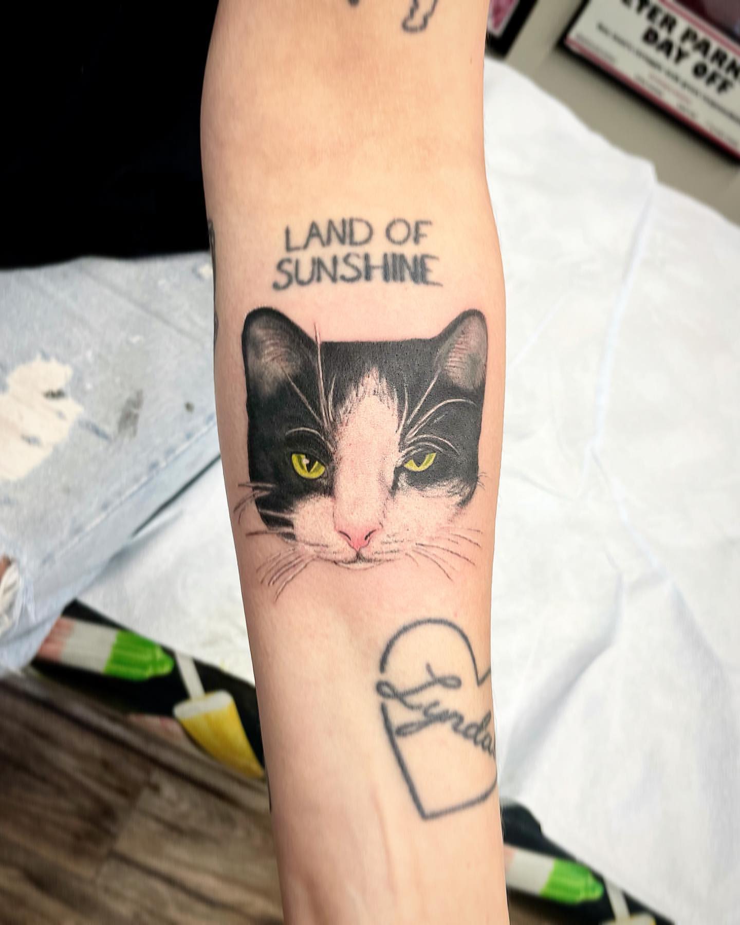 Cat Portrait Tattoo by Jess Alther at Black Gold Tattoo Co in Edmonton Alberta Canada