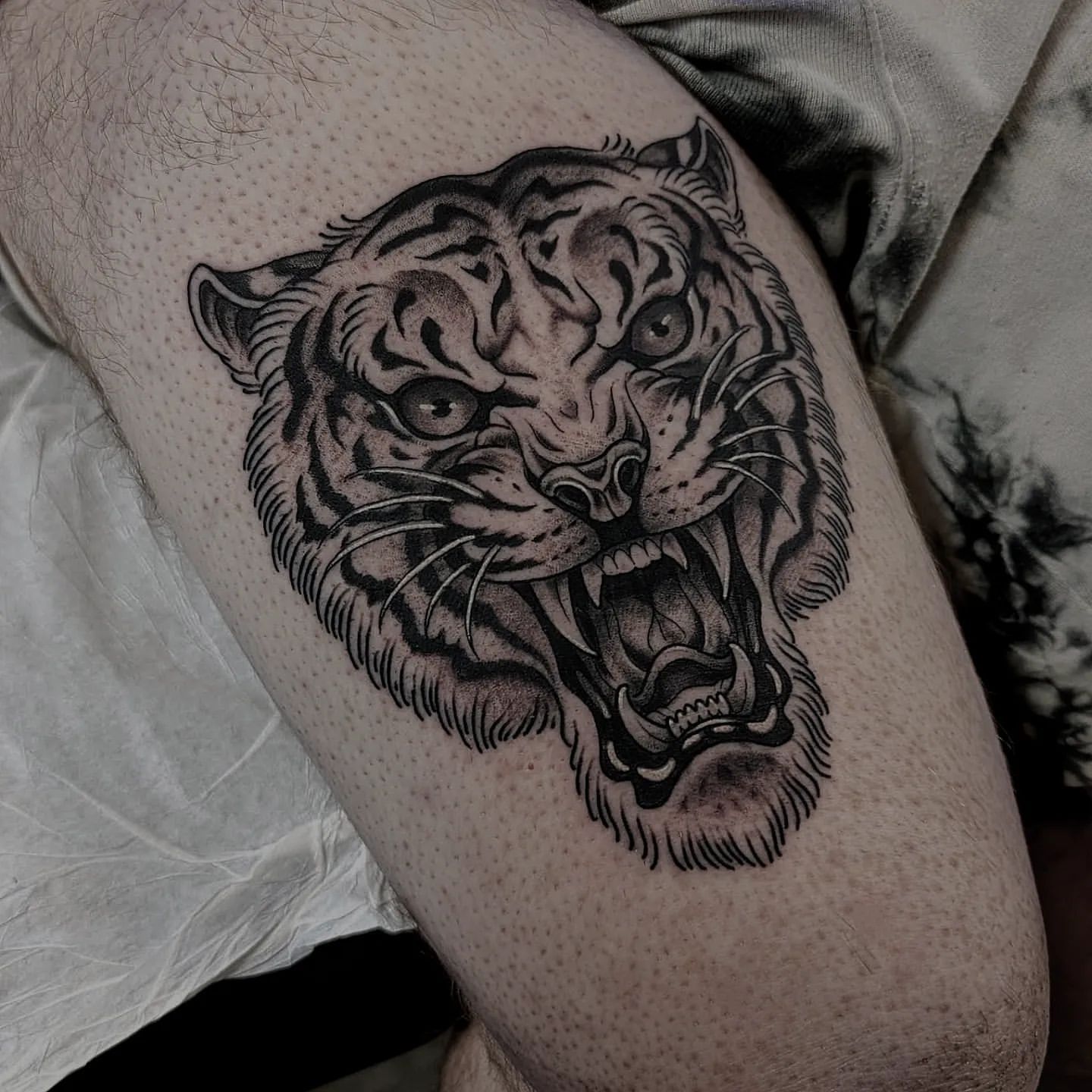 Tiger Tattoo by Chris Benson at Silver Ghost Tattoo in Edmonton Alberta Canada