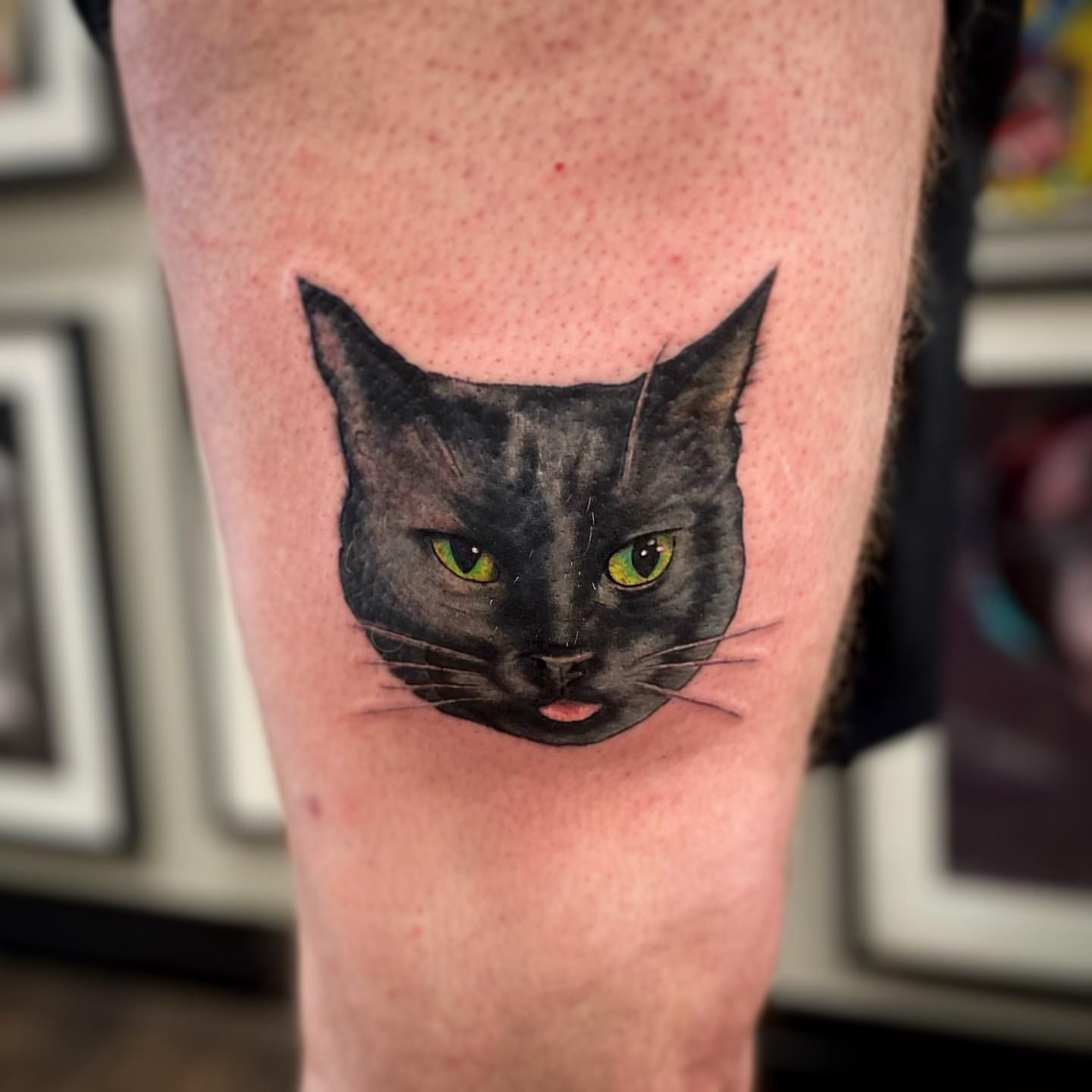 Cat Portrait and Floral Tattoo by Jess Alther at Black Gold Tattoo Co in Edmonton Alberta Canada