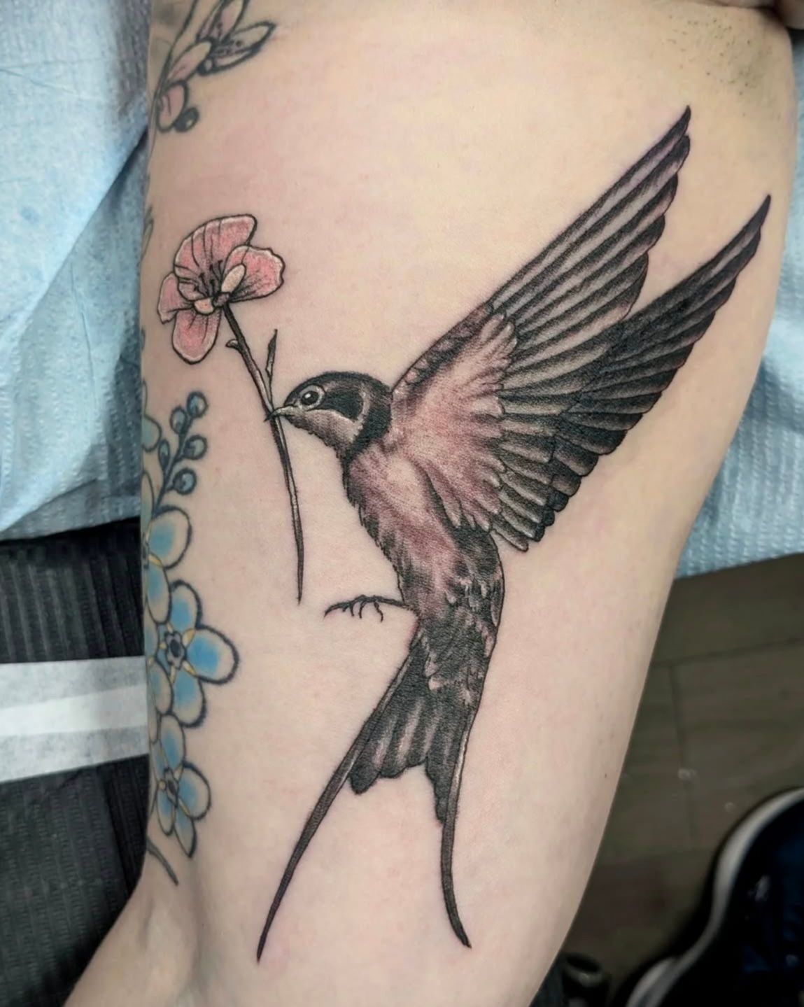 Sparrow Tattoo by Toby Shipman at Silver Ghost Tattoo in Edmonton Alberta Canada