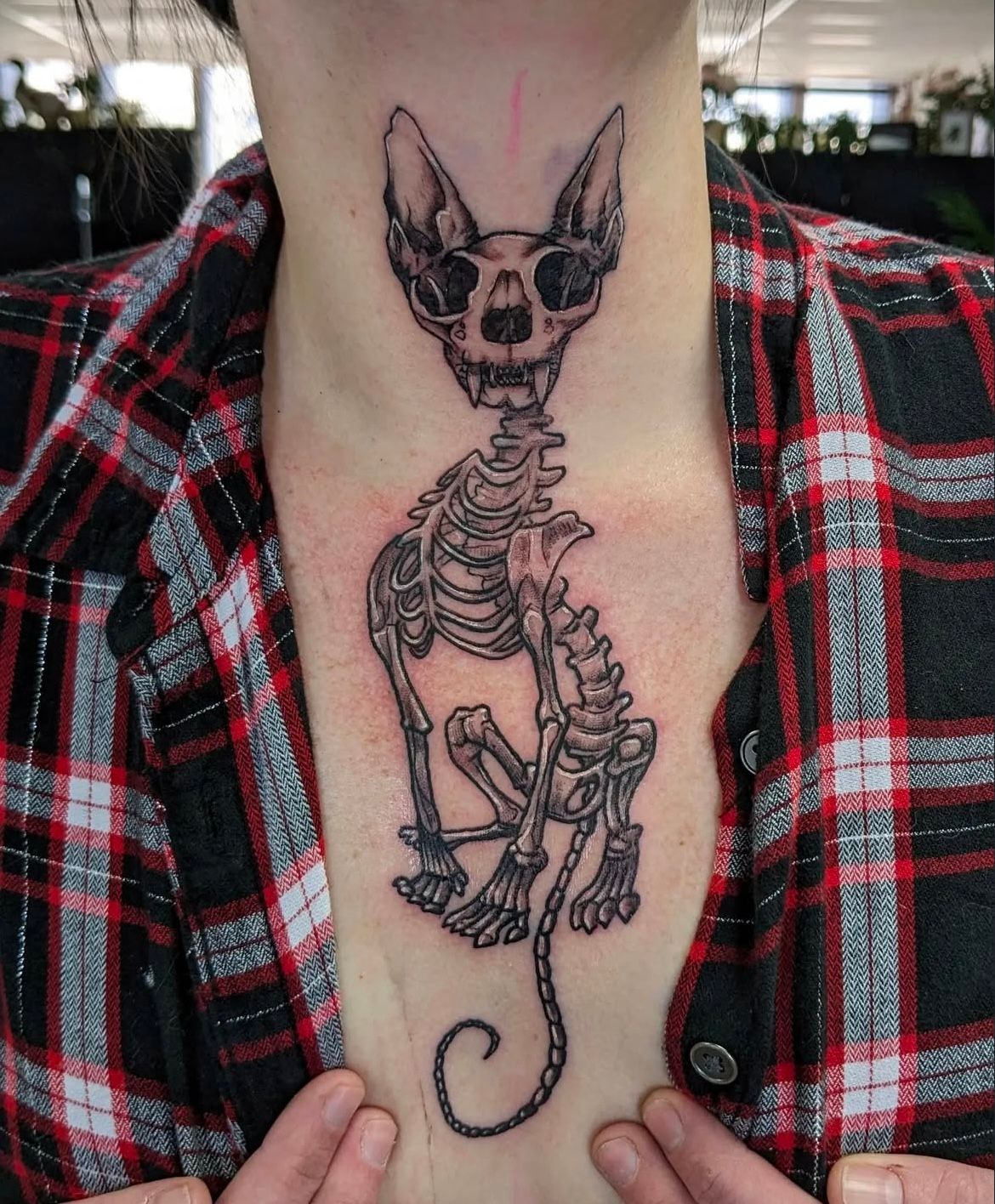 Skeletal Cat Tattoo by Toby Shipman at Silver Ghost Tattoo in Edmonton Alberta Canada