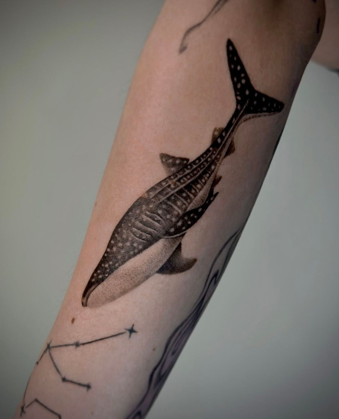 Whale Shark Tattoo by Anastasiya at Silver Ghost Tattoo in Edmonton Alberta Canada
