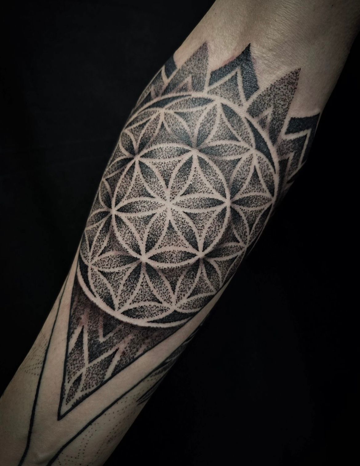 Geometric Dotwork Tattoo by Alex Arnautov at Black Gold Tattoo Co in Edmonton Alberta Canada