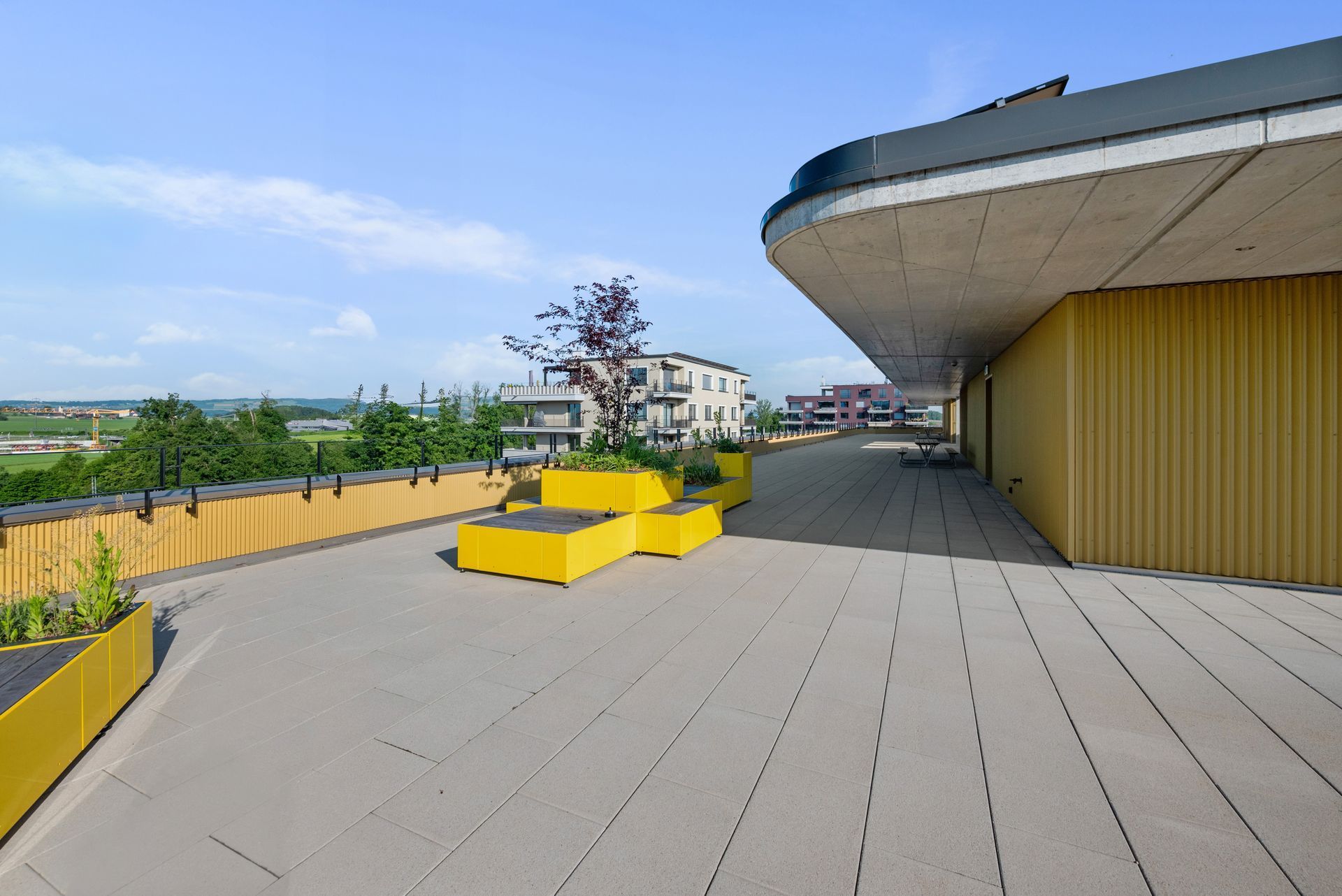 Sunny rooftop terrace with yellow planters, gray pavers, and a curved building facade