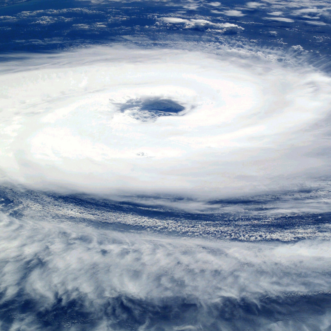 Blog post 6 ways to hurricane proof your house by Southern Charm