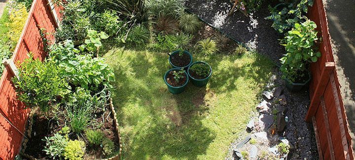 An aerial view of a garden with a red fence and potted plants.