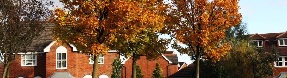A row of houses with trees in front of them in autumn