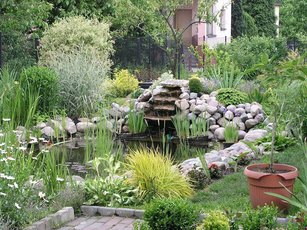 There is a pond with a waterfall in the middle of the garden.