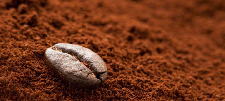A coffee bean is sitting on top of a pile of coffee powder.