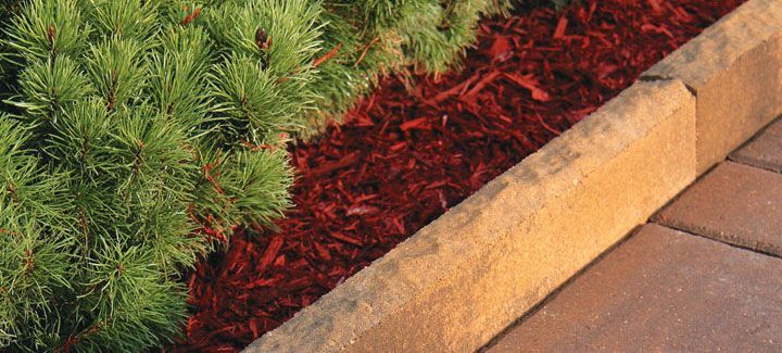 A brick curb surrounds a garden with plants and mulch.