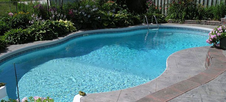 A large swimming pool surrounded by plants and flowers in a backyard.