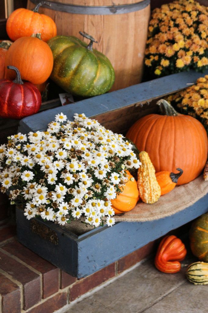 A blue box filled with pumpkins and flowers on a porch.