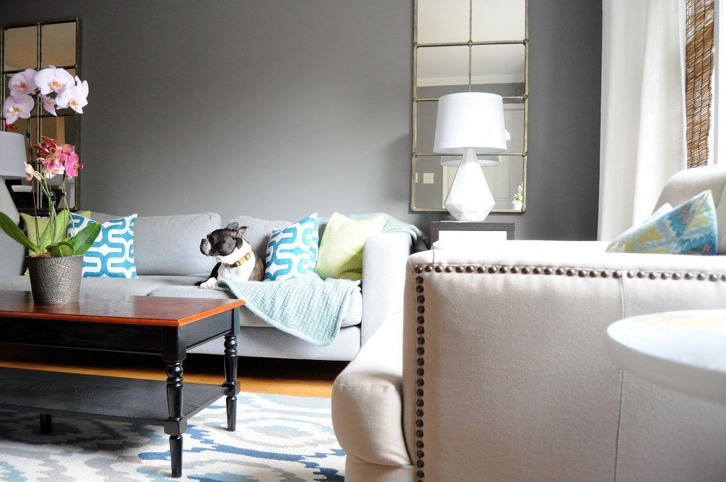 A dog is laying on a couch in a living room