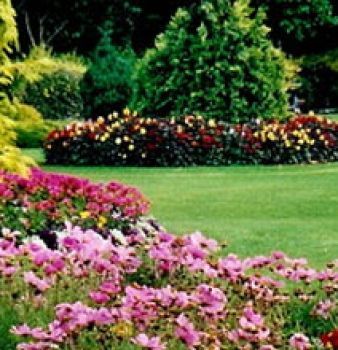 A garden filled with lots of flowers and trees