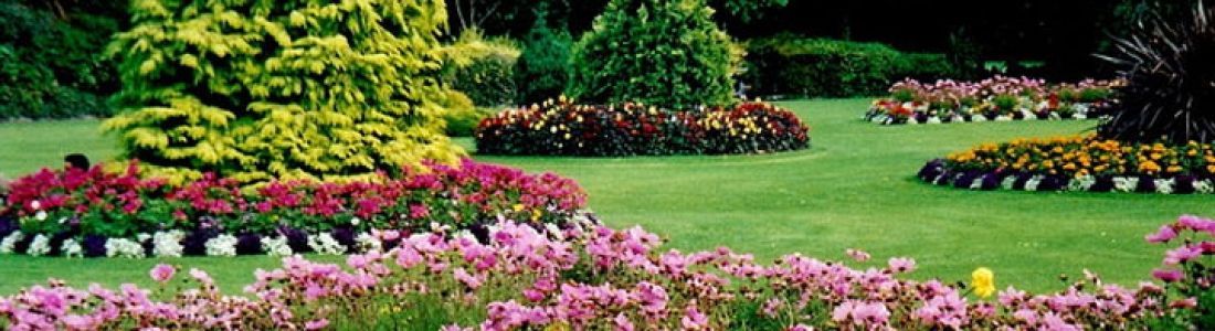 A garden filled with lots of flowers and trees