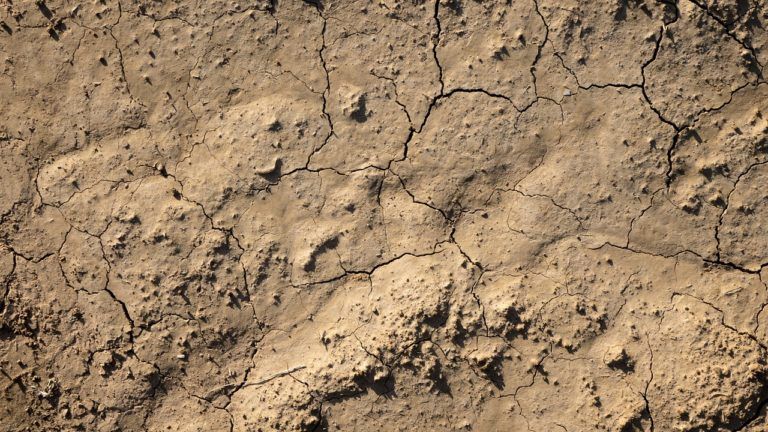 A close up of a cracked dirt surface.