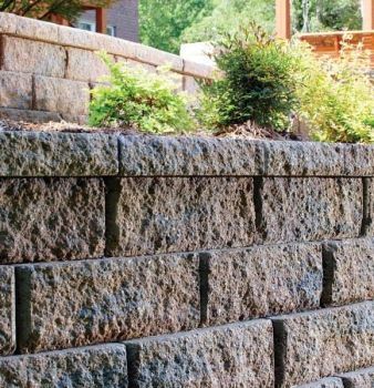 A brick wall with plants growing on it