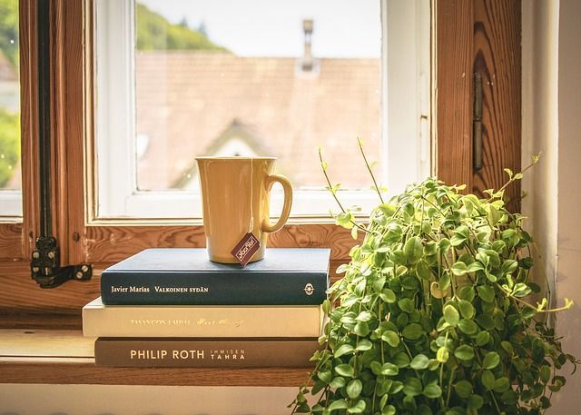 A cup of coffee is sitting on top of a stack of books on a window sill.