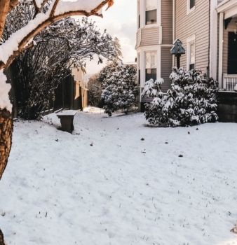 A snowy yard with a house in the background