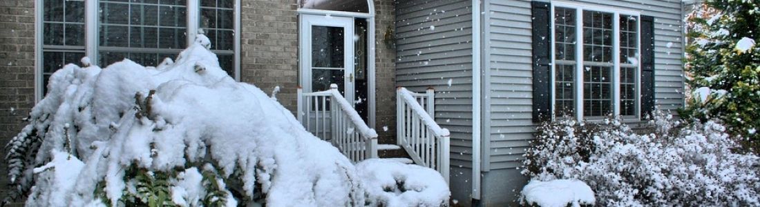 A house is covered in snow and trees are covered in snow.
