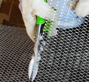 A person is cutting a wire mesh with scissors.