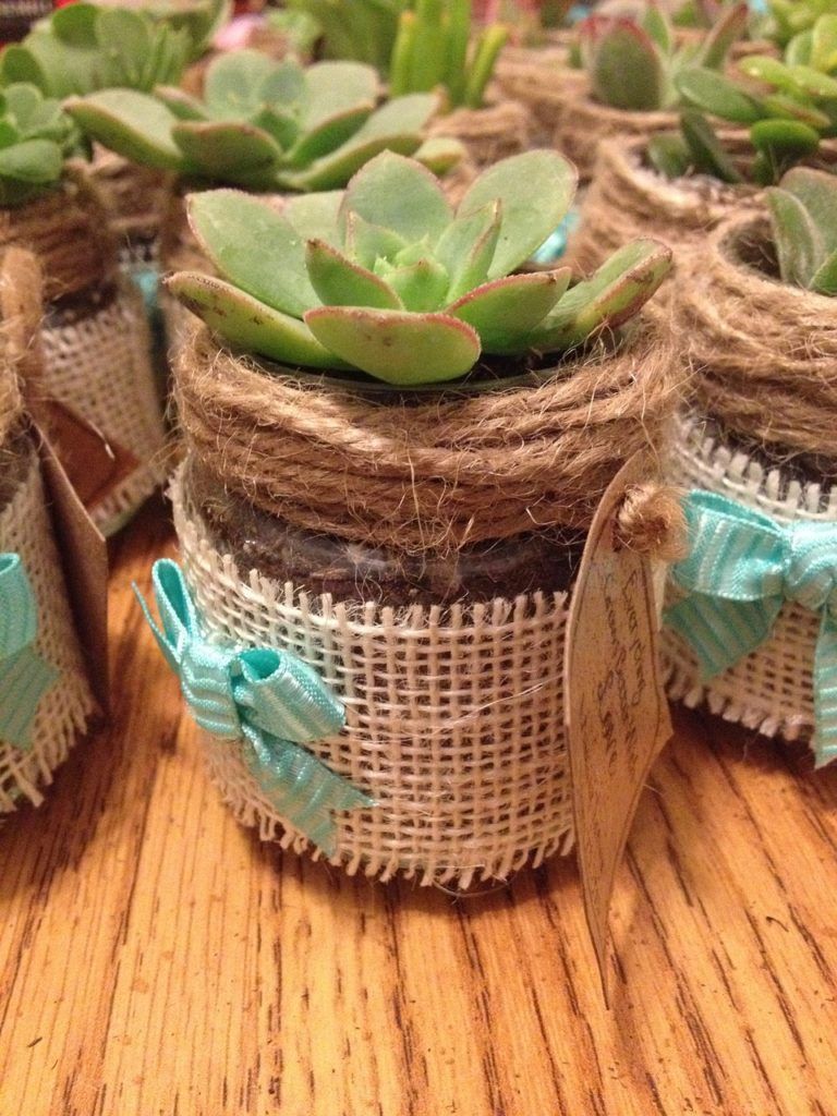 A group of small jars filled with succulents are sitting on a wooden table.