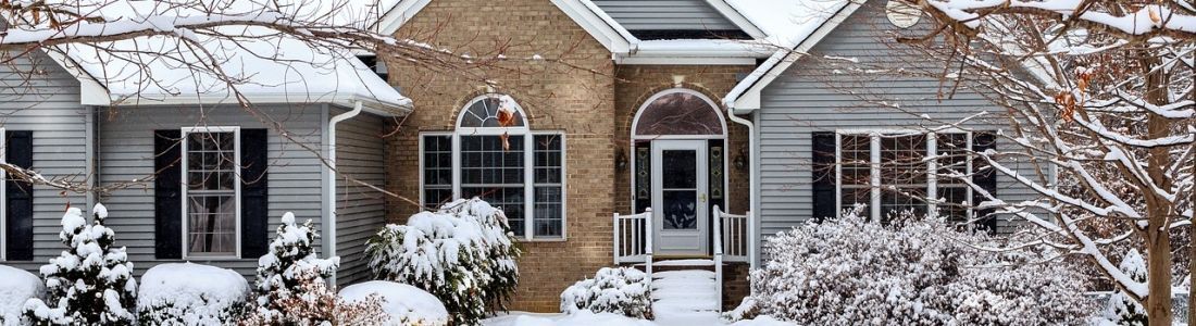 A house is covered in snow and trees are covered in snow.