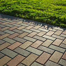Brick walkway beside a green hedge in bright sunlight