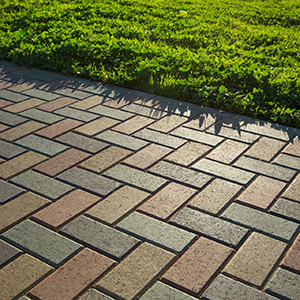 Brick walkway beside a green hedge in bright sunlight