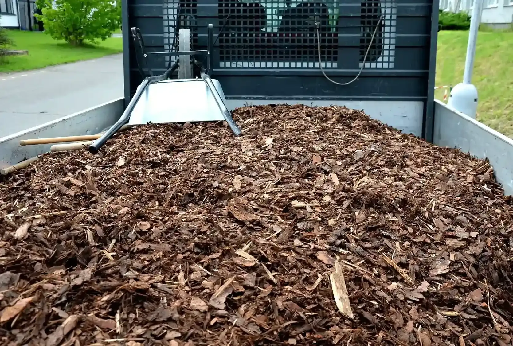 Large pile of brown mulch in a truck bed with a white ramp behind it
