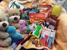 Deluxe Puppy Kit