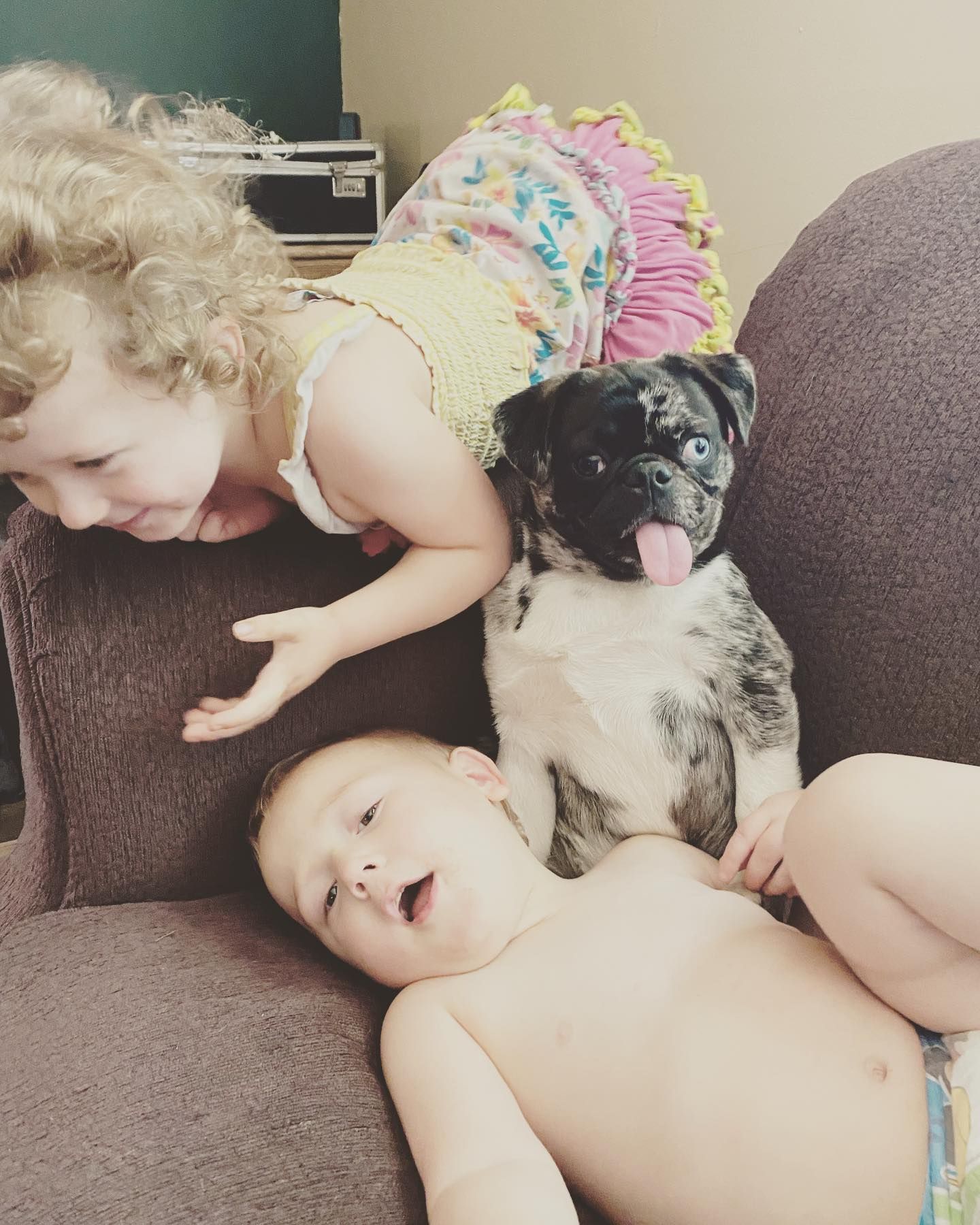 Gracie and Pug