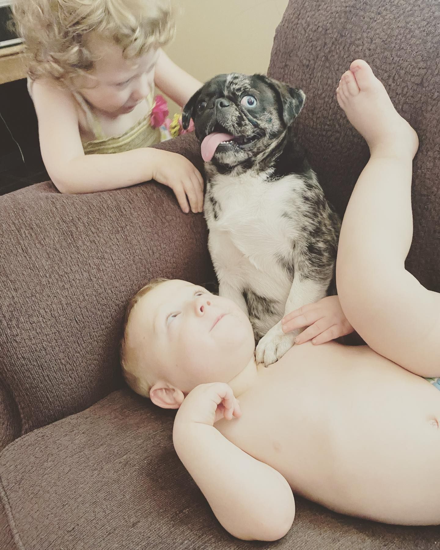 Gracie and pug
