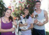 All three Papillons Pups from JNJPugsNPaps 