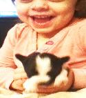 Pup with Miss Jackie Happy Pups from JNJPugsNPaps 
