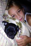 Happy Pups from JNJPugsNPaps 