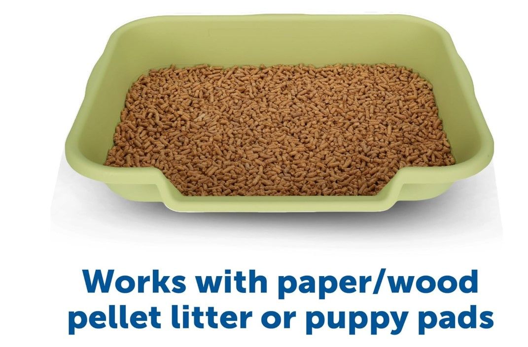 Dog Puppy Litter box Green Large from PNC Paws-N-Claws in Kansas