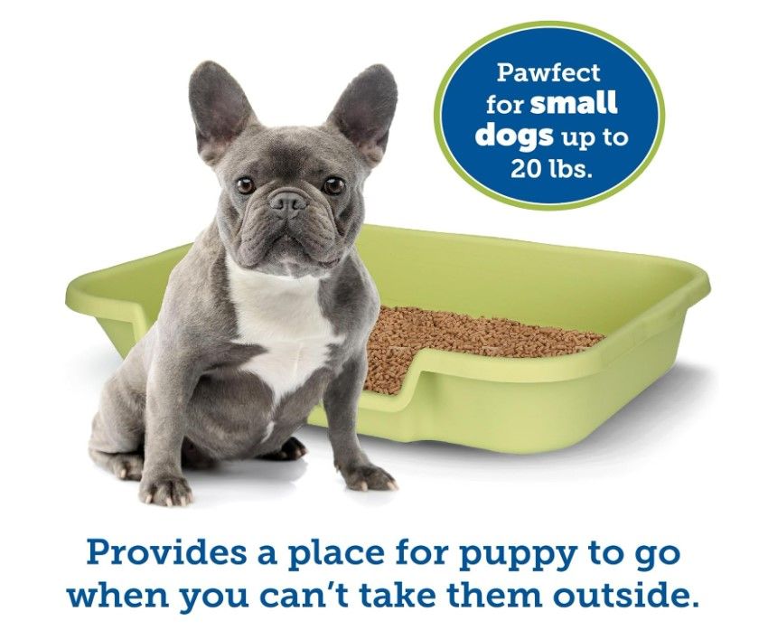 Dog Puppy Litter box Green Large from PNC Paws-N-Claws in Kansas