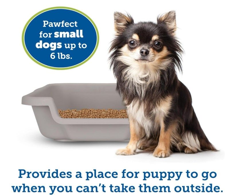 Dog Puppy Litter box Grey Small  from PNC Paws-N-Claws in Kansas