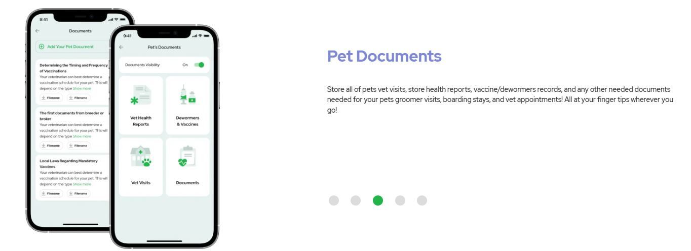 Pet Id Tag 