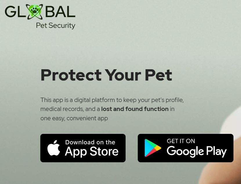 Pet Id Tag 