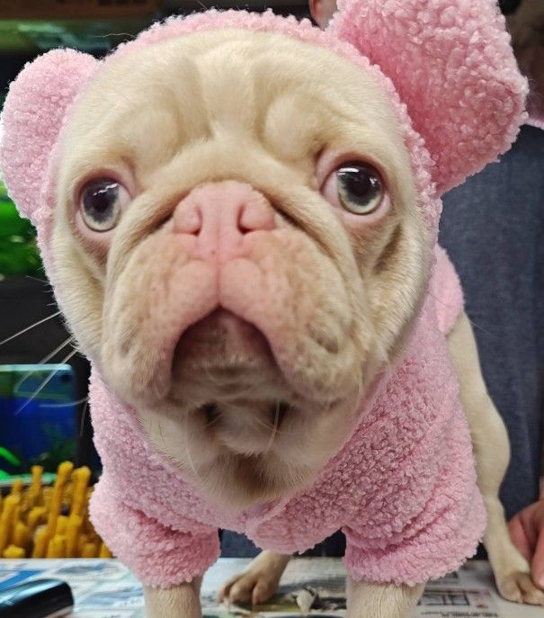 Ruebarb