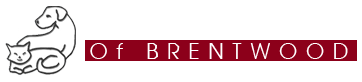 Animal Care Center Of Brentwood Animal Care Center Of Brentwood